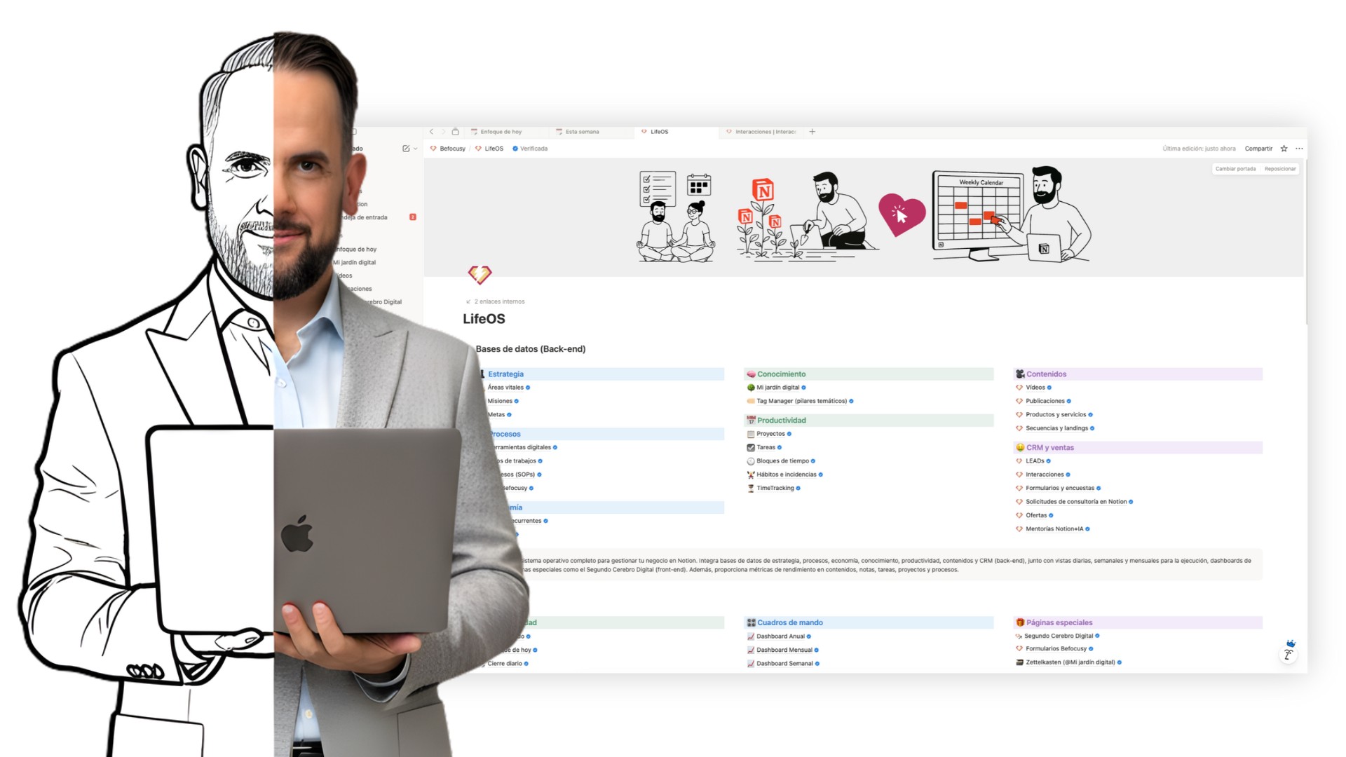 Consultoría en Notion para negocios